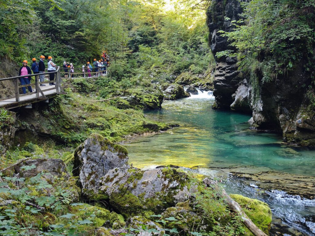 Glasklares Wasser schimmert grün in den Gumpen der Vintgar Klamm